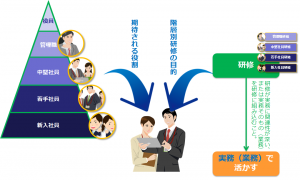階層別研修の目的
