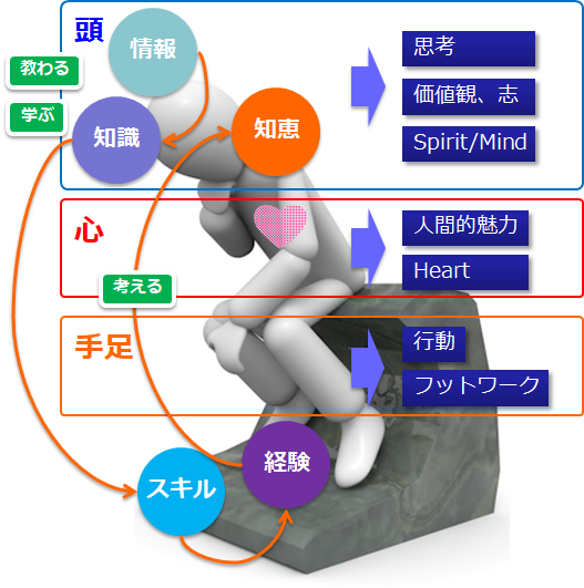 制度設計・構築 | Carren Consulting Inc.